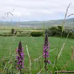 Short Dingle 3* Emlagh East