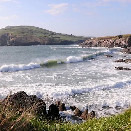 Short Dingle 3*