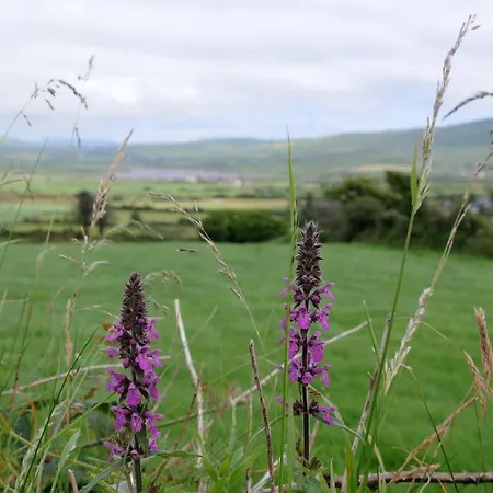 Short Dingle * Emlagh East