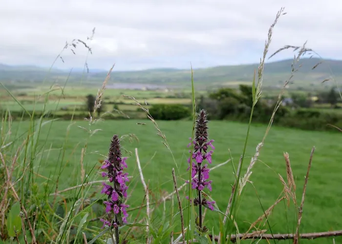 Short Dingle 3* Emlagh East